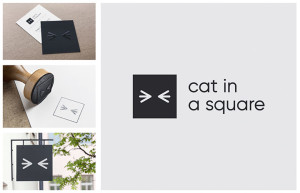 cat-in-a-square